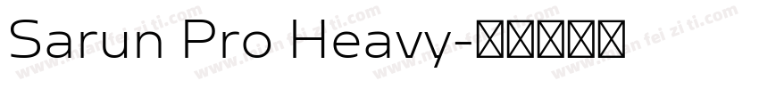 Sarun Pro Heavy字体转换